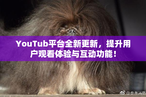 YouTub平台全新更新，提升用户观看体验与互动功能！