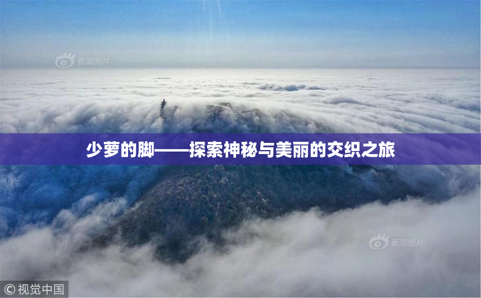 少萝的脚——探索神秘与美丽的交织之旅