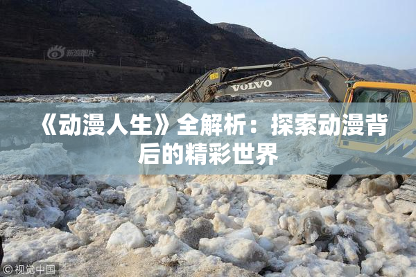 《动漫人生》全解析：探索动漫背后的精彩世界