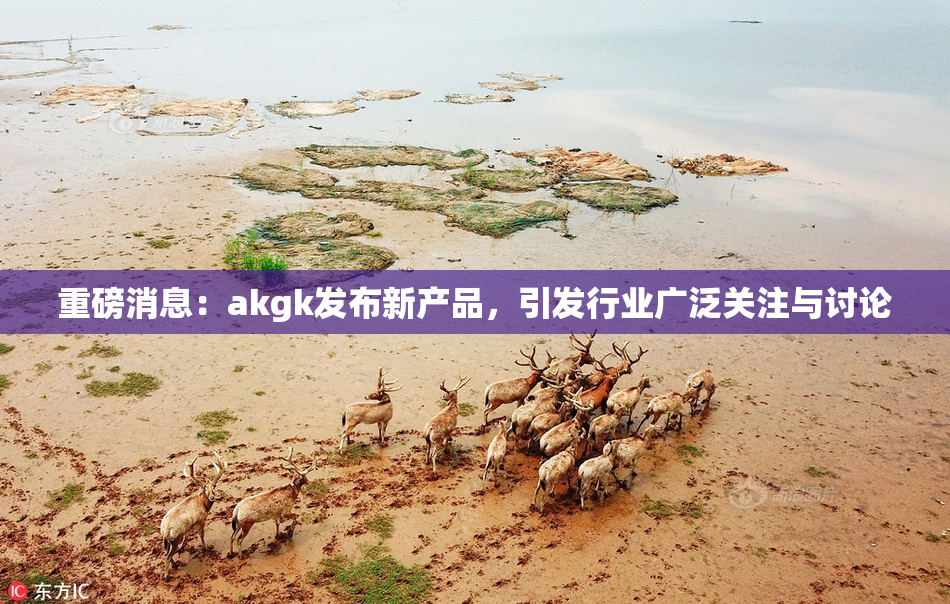 重磅消息：akgk发布新产品，引发行业广泛关注与讨论