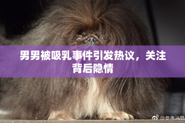 男男被吸乳事件引发热议，关注背后隐情