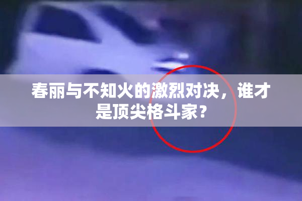 春丽与不知火的激烈对决，谁才是顶尖格斗家？