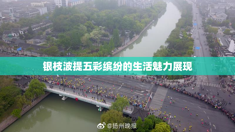 银枝波提五彩缤纷的生活魅力展现
