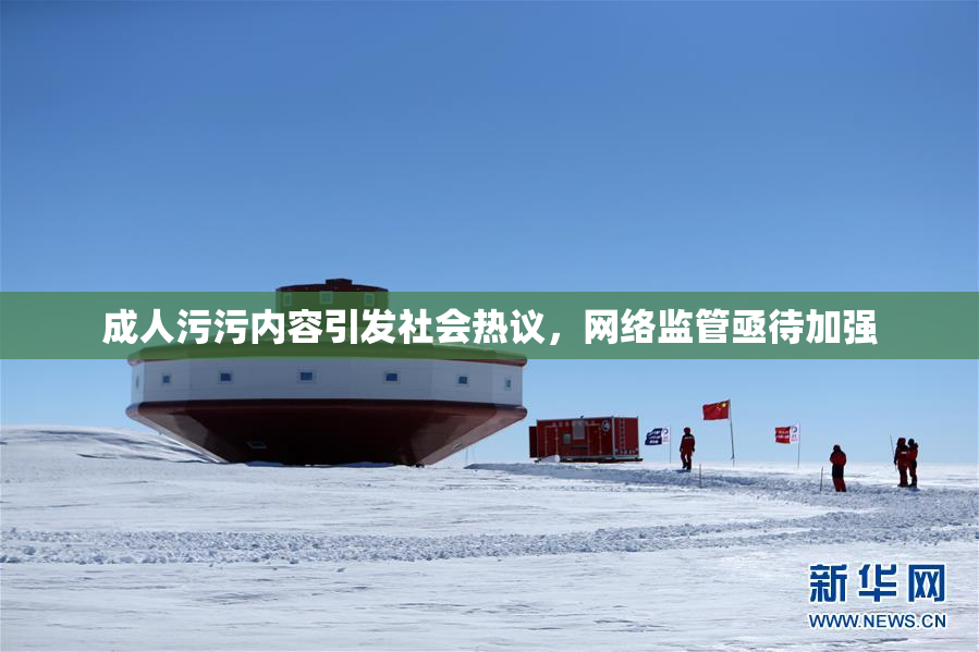成人污污内容引发社会热议，网络监管亟待加强