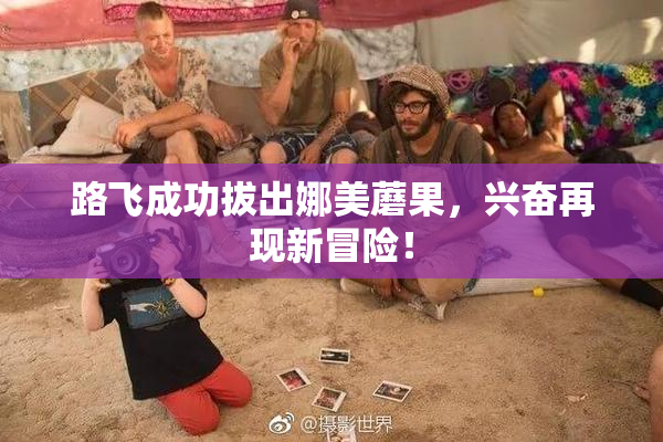 路飞成功拔出娜美蘑果，兴奋再现新冒险！