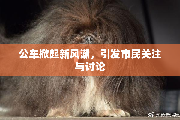 公车掀起新风潮，引发市民关注与讨论
