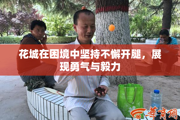 花城在困境中坚持不懈开腿，展现勇气与毅力