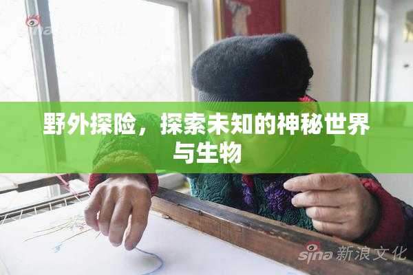 野外探险，探索未知的神秘世界与生物