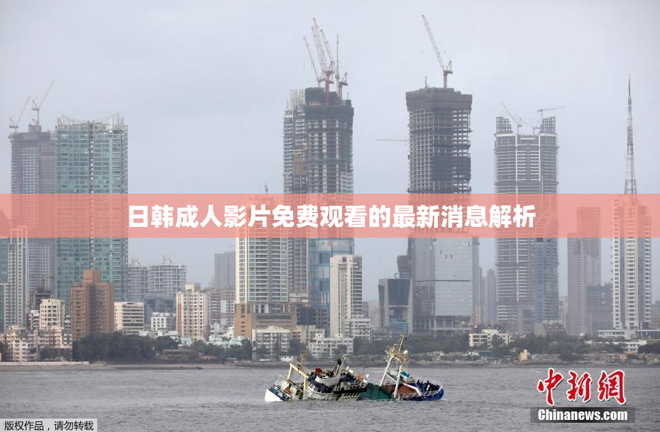 日韩成人影片免费观看的最新消息解析