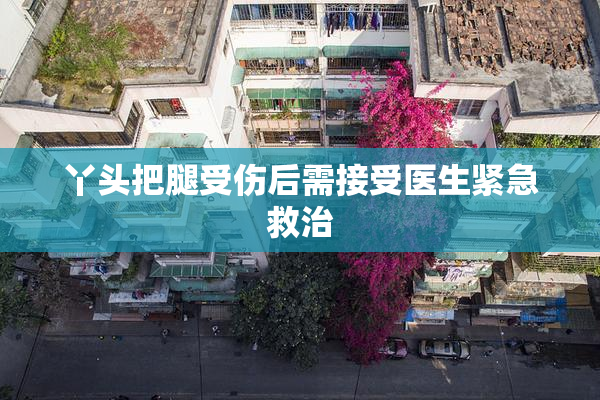 丫头把腿受伤后需接受医生紧急救治