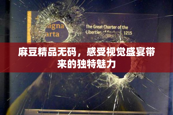 麻豆精品无码，感受视觉盛宴带来的独特魅力
