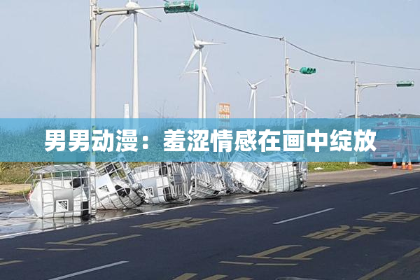 男男动漫：羞涩情感在画中绽放