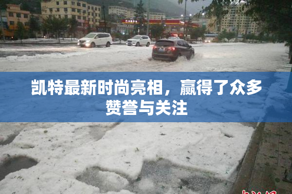 凯特最新时尚亮相，赢得了众多赞誉与关注