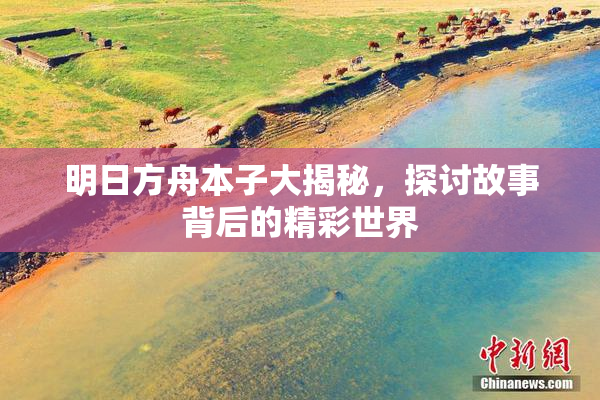 明日方舟本子大揭秘，探讨故事背后的精彩世界