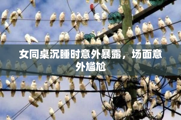 女同桌沉睡时意外暴露，场面意外尴尬