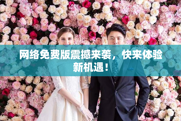 网络免费版震撼来袭，快来体验新机遇！