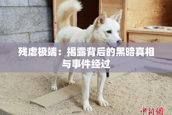 残虐极端：揭露背后的黑暗真相与事件经过