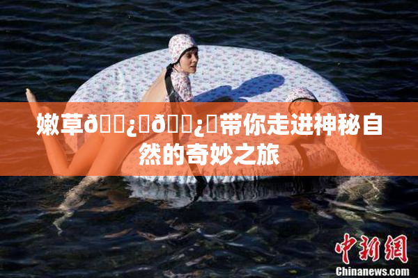 嫩草🌿‌🌿‌带你走进神秘自然的奇妙之旅