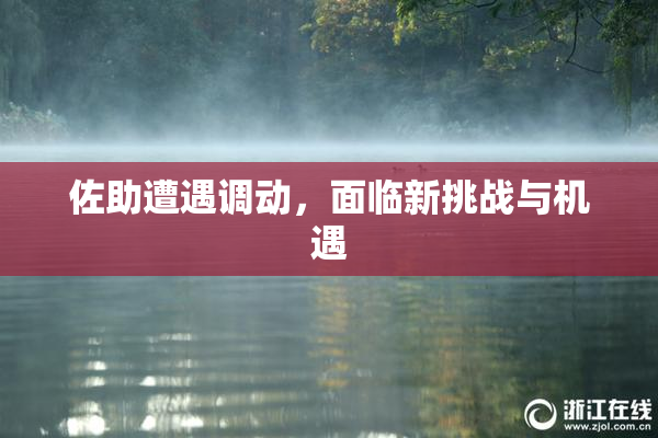 佐助遭遇调动，面临新挑战与机遇