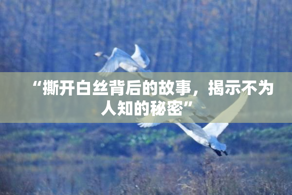 “撕开白丝背后的故事，揭示不为人知的秘密”