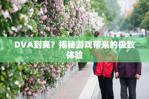 DVA到爽？揭秘游戏带来的极致体验