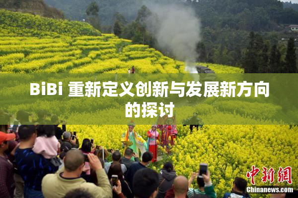 BiBi 重新定义创新与发展新方向的探讨