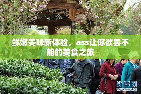 鲜嫩美味新体验，ass让你欲罢不能的美食之旅