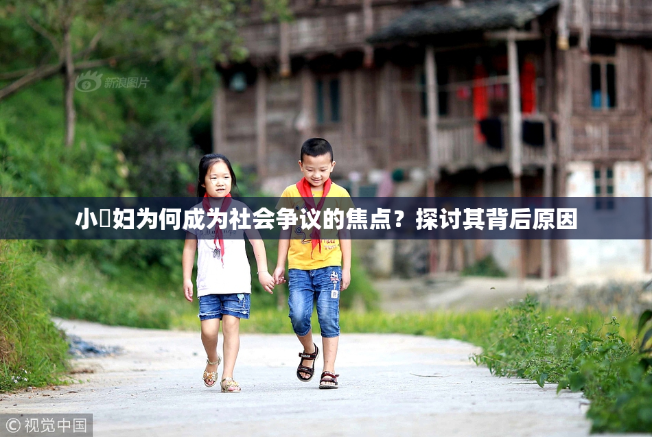 小婬妇为何成为社会争议的焦点？探讨其背后原因
