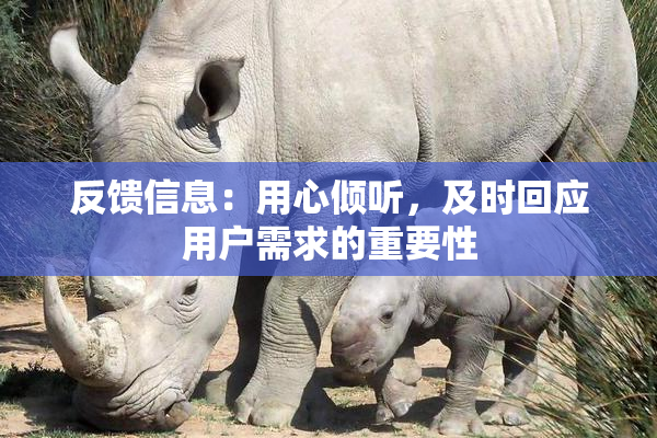反馈信息：用心倾听，及时回应用户需求的重要性
