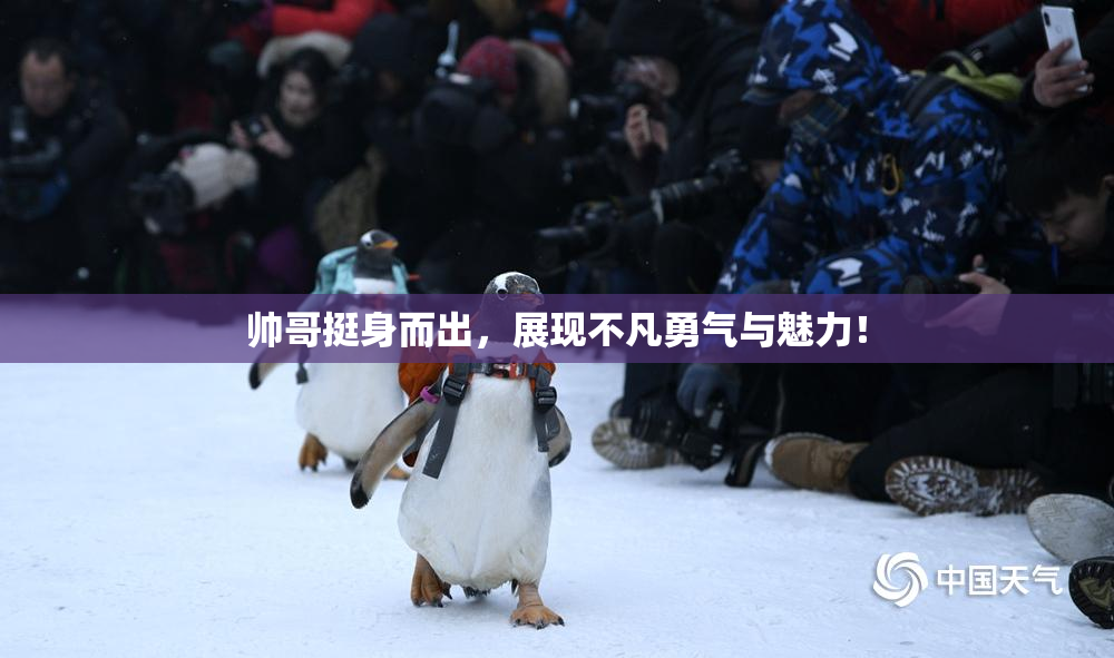 帅哥挺身而出，展现不凡勇气与魅力！