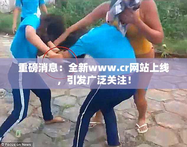 重磅消息：全新www.cr网站上线，引发广泛关注！