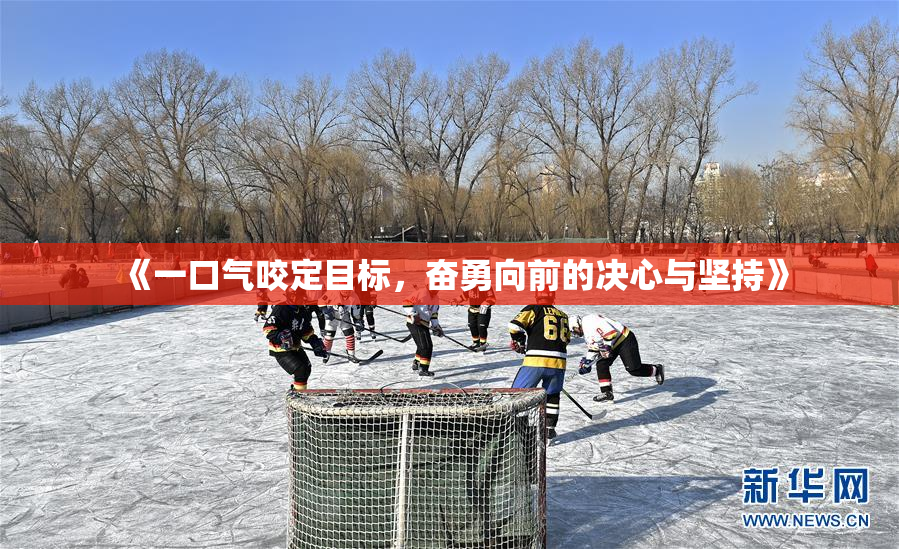 《一口气咬定目标，奋勇向前的决心与坚持》