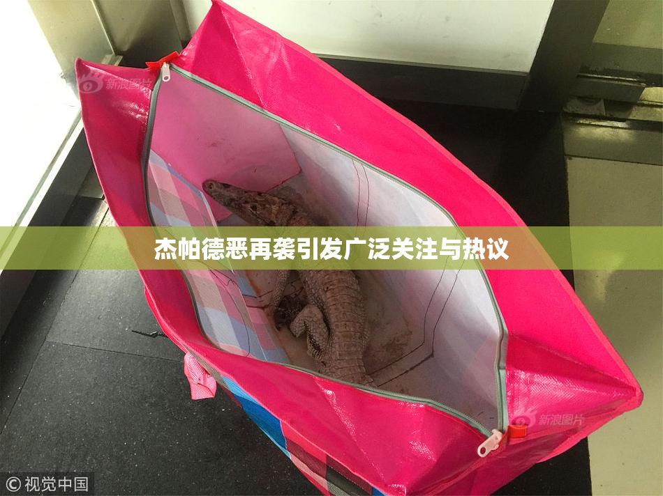 杰帕德恶再袭引发广泛关注与热议