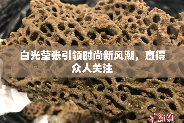 白光莹张引领时尚新风潮，赢得众人关注