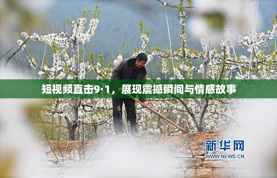 短视频直击9·1，展现震撼瞬间与情感故事