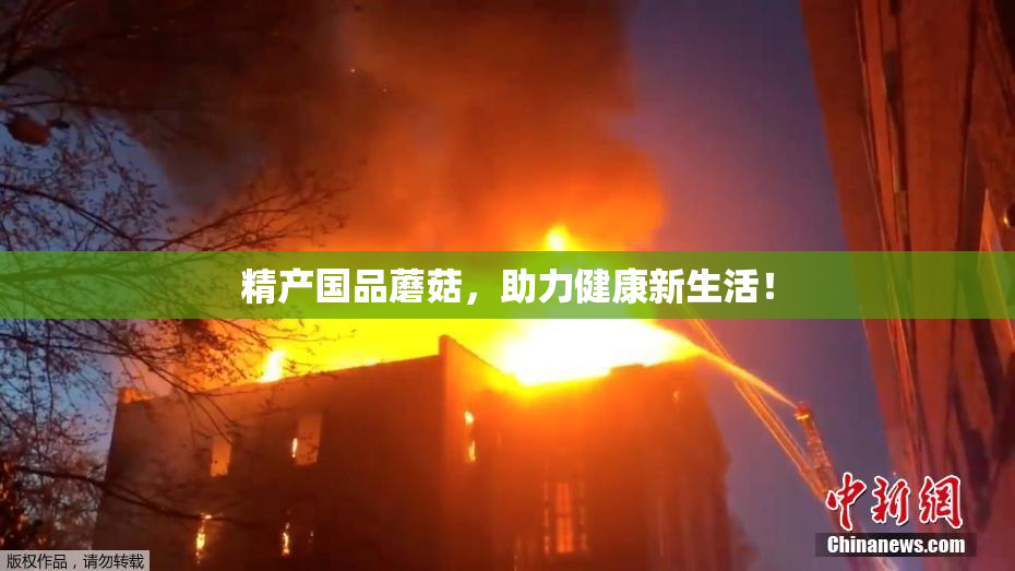 精产国品蘑菇，助力健康新生活！