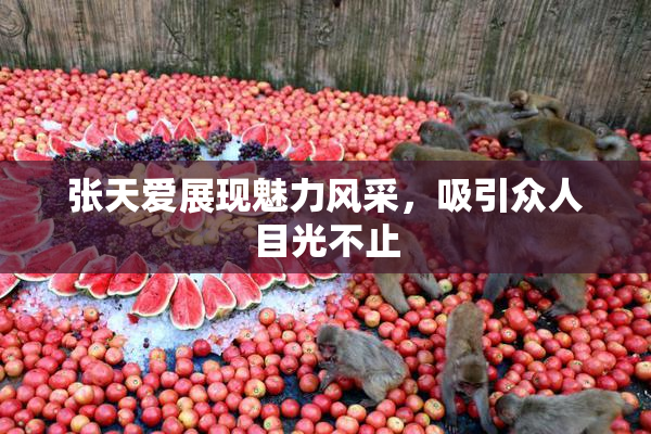 张天爱展现魅力风采，吸引众人目光不止