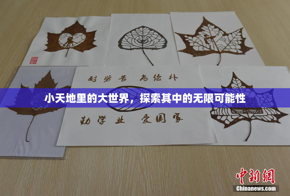 小天地里的大世界，探索其中的无限可能性