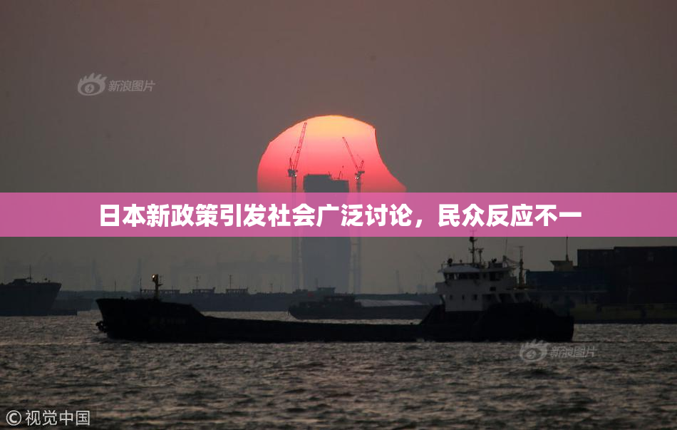 日本新政策引发社会广泛讨论，民众反应不一
