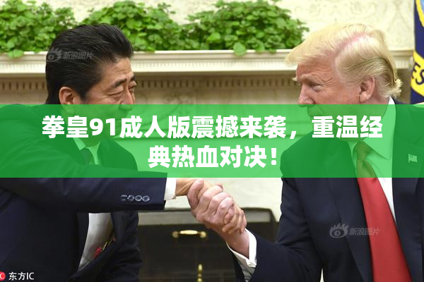 拳皇91成人版震撼来袭，重温经典热血对决！