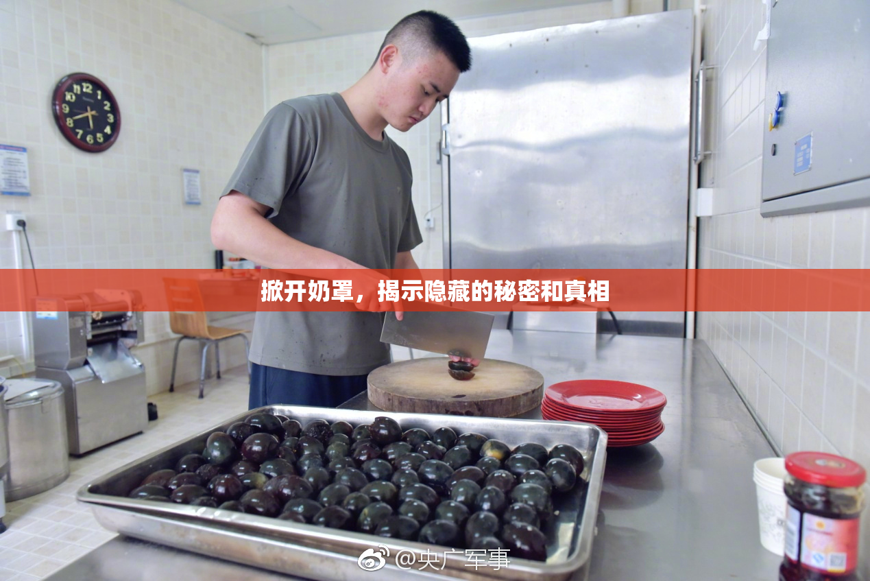 掀开奶罩，揭示隐藏的秘密和真相