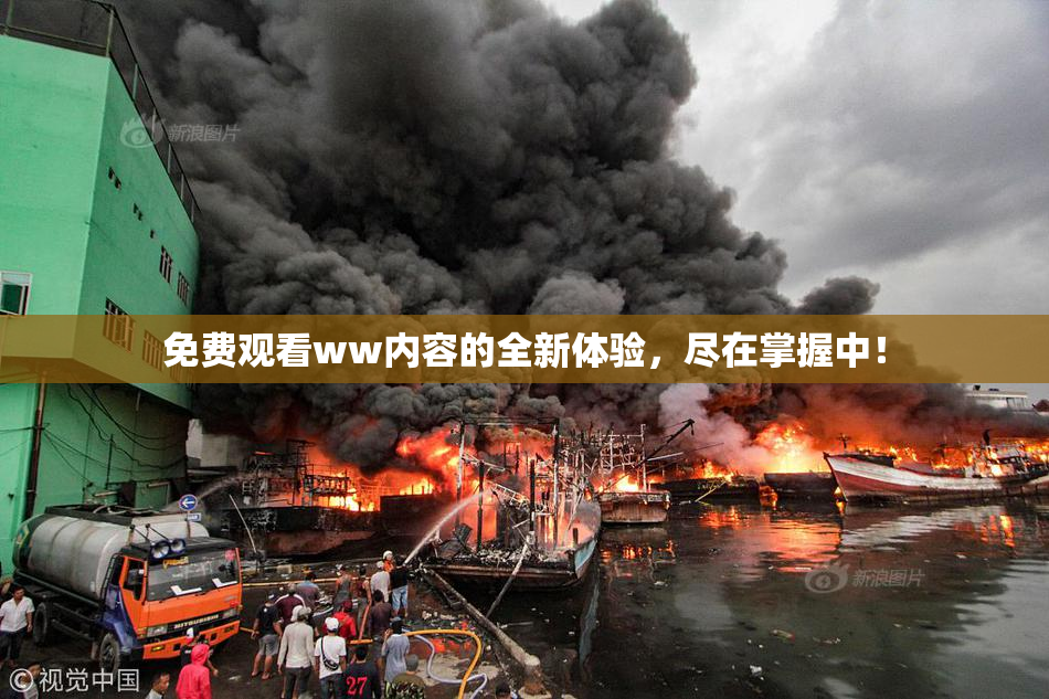 免费观看ww内容的全新体验，尽在掌握中！