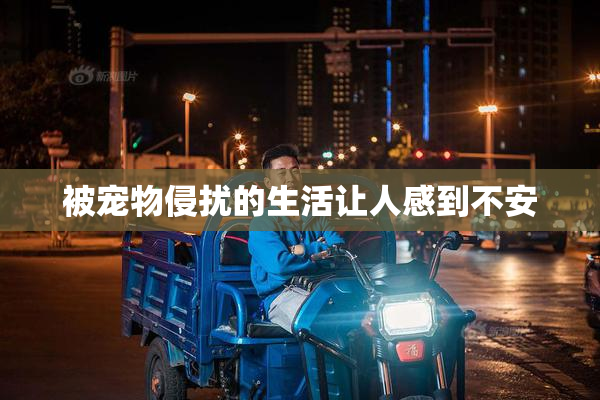 被宠物侵扰的生活让人感到不安