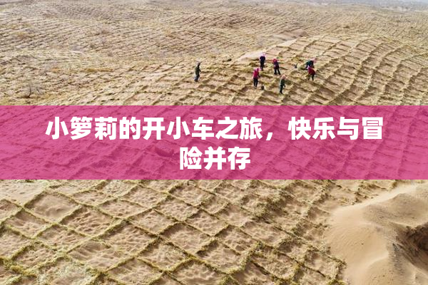 小箩莉的开小车之旅，快乐与冒险并存