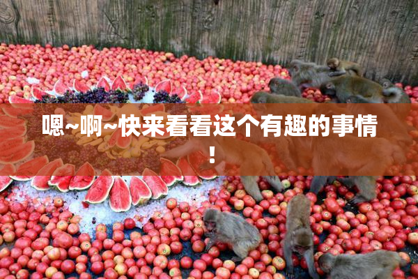 嗯~啊~快来看看这个有趣的事情！