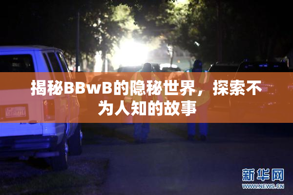 揭秘BBwB的隐秘世界，探索不为人知的故事
