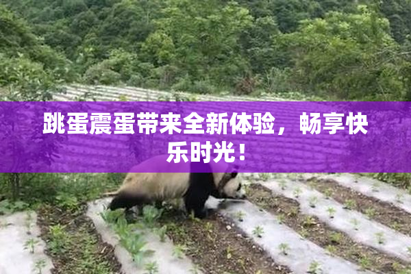 跳蛋震蛋带来全新体验，畅享快乐时光！