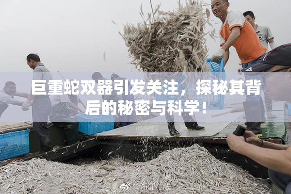 巨重蛇双器引发关注，探秘其背后的秘密与科学！