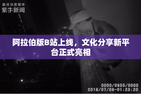 阿拉伯版B站上线，文化分享新平台正式亮相