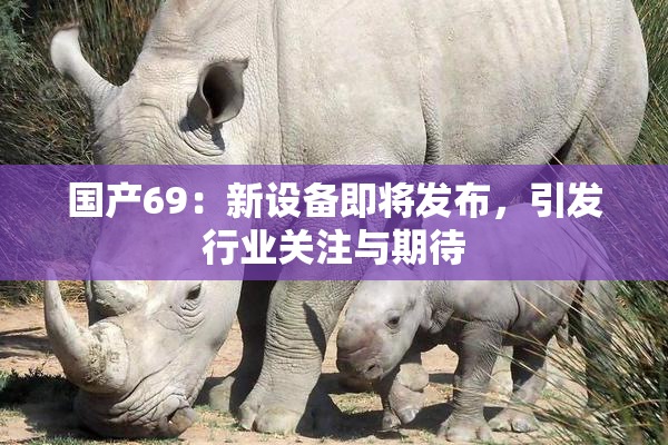 国产69：新设备即将发布，引发行业关注与期待